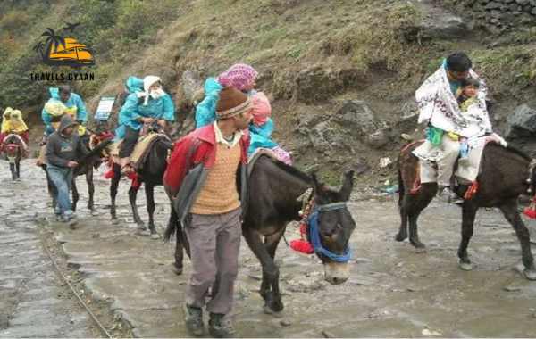 gaurikund to kedarnath hourse yatra price