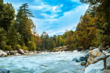 kasol